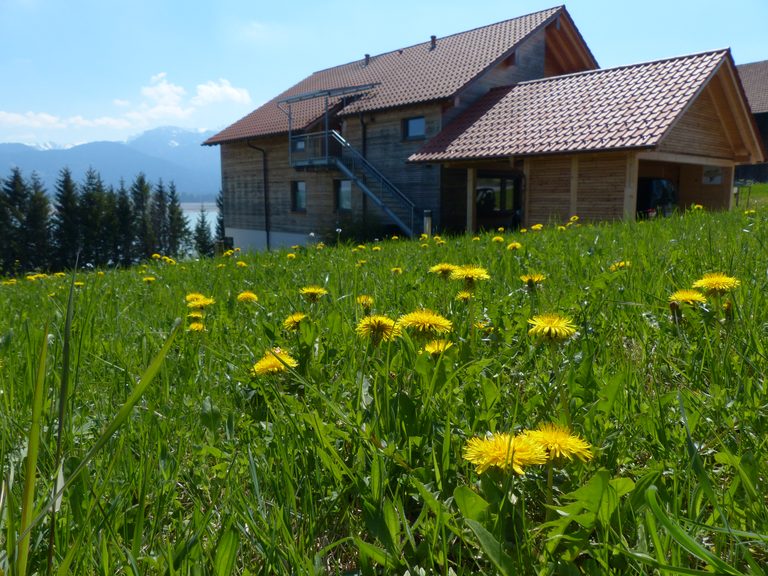 Das Haus von der Seite mit blühender Löwenzahnwiese und Bergen im Hintergrund