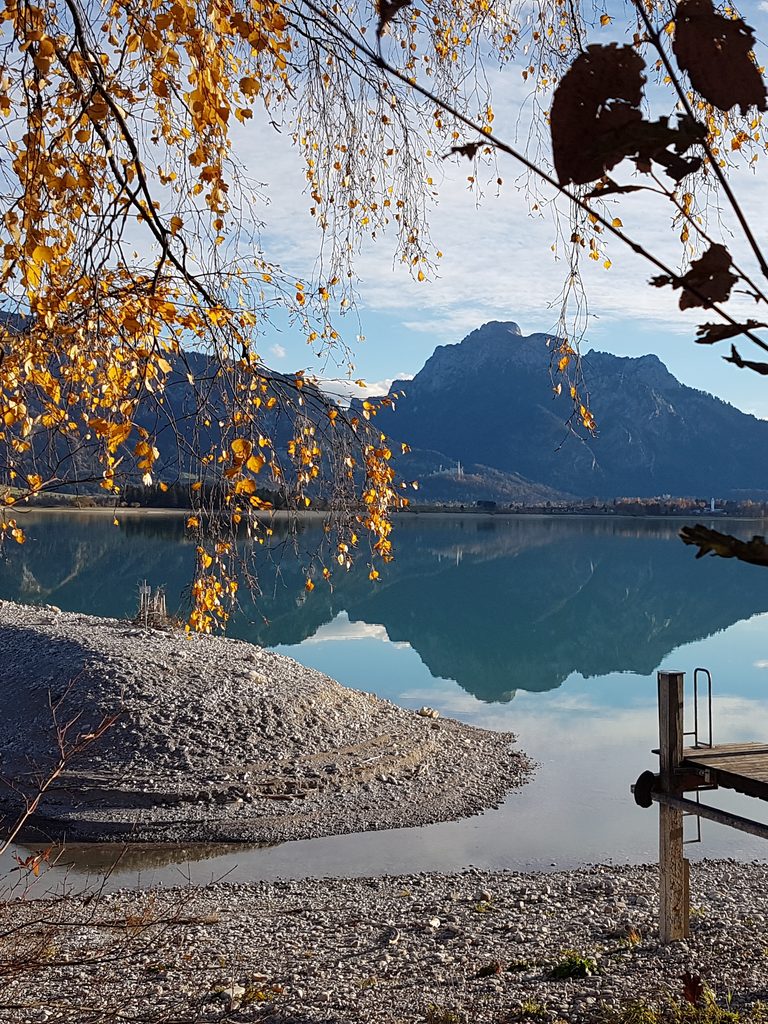 Herbstlich gefärbtes Laub über dem stillen Forggensee mit Bergspiegelung