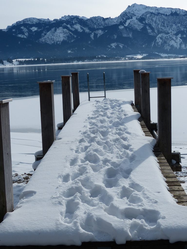 Verschneiter Steg am Forggensee vor den Bergen im Winter